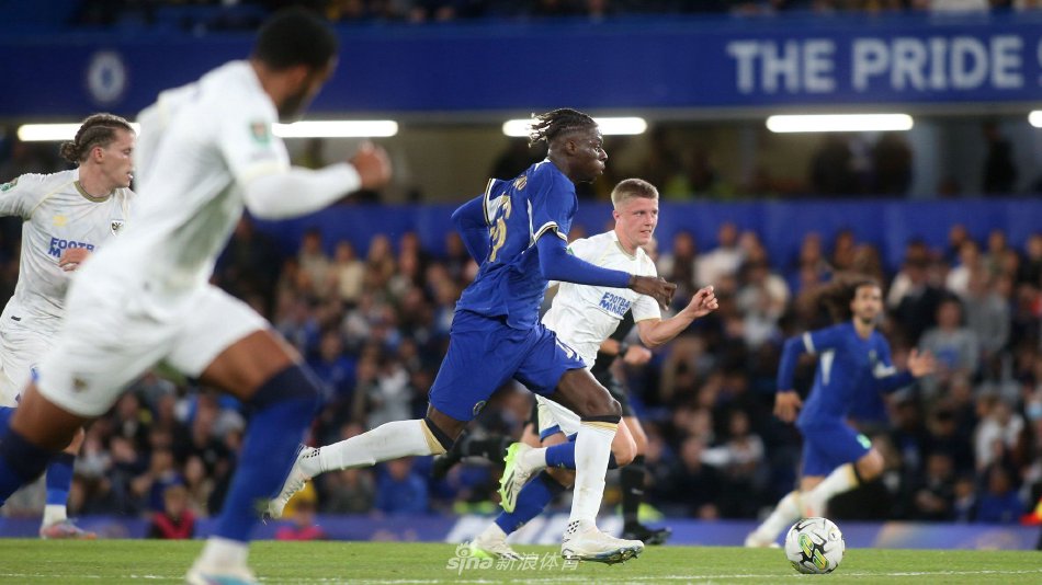 看到新的球 看到新的球